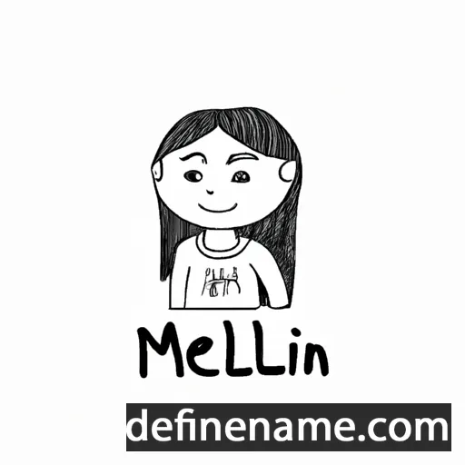 Meilin cartoon