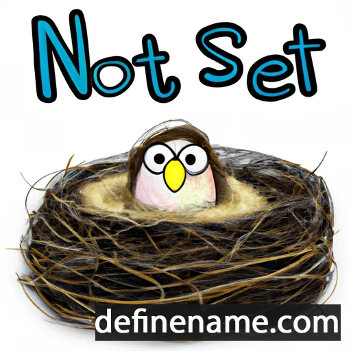 cartoon of the name Nest