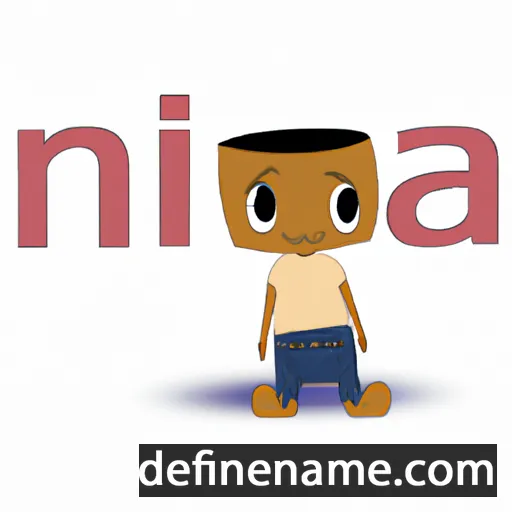 Nija cartoon