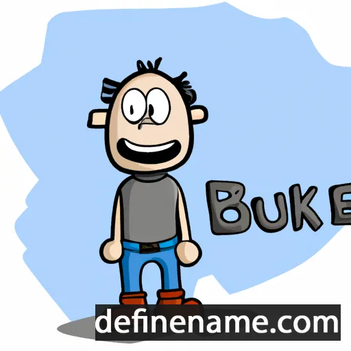 Bauke cartoon