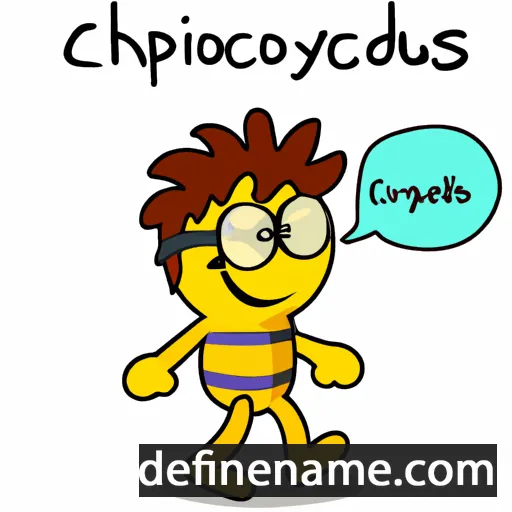 Chrysologus cartoon